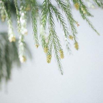 国际油价25日下跌