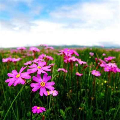 恒指港股通ETF建信（520770）涨0.85%，成交额2369.12万元