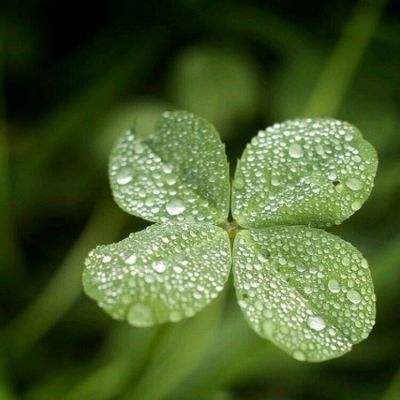 上证580ETF华夏（530530）涨2.34%，成交额342.97万元