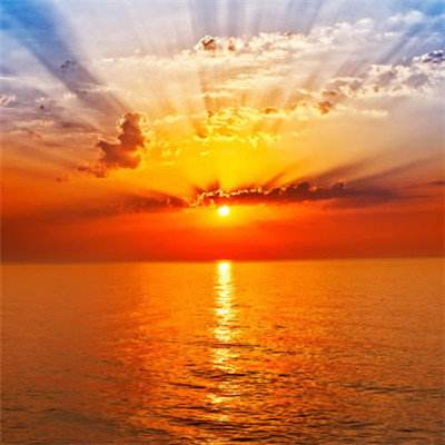 外电军情|西媒讽特朗普：“美国优先”帮普京走出困境